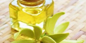Ylang Ylang Oil