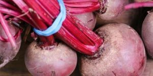 Fresh Beetroot