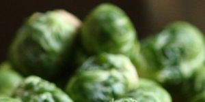 Fresh Brussels Sprouts