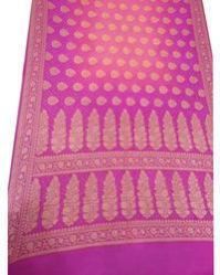 Cotton Bandhej Sarees