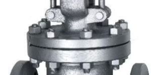 Globe Valve