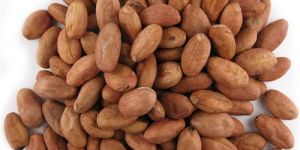 Cocoa Nuts