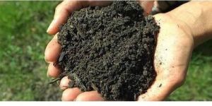 Organic Bio Fertilizer
