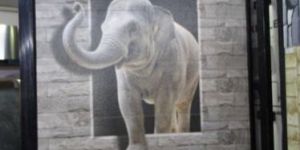 Elephant Wall Picture