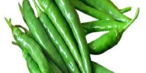 G4 Green Chilli
