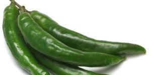 Long Green Chilli