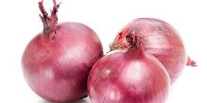 Organic Onion