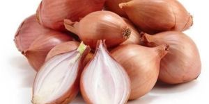 Shallot Onion