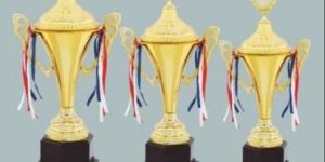 Gold Plated Trophies