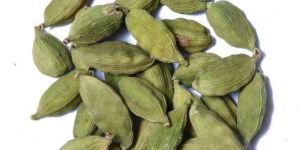 Big Green Cardamom