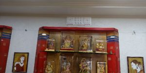 Commercial Vastu Consultancy Services