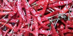 Dried Red Chilli