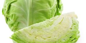 Fresh Natural Cabbage