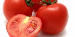 Fresh Natural Tomato
