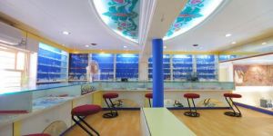 Shop Interior Designing Services
