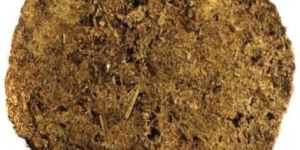 Cow Dung Cake