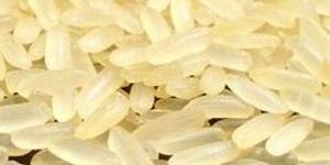 Swarna Non Basmati Rice