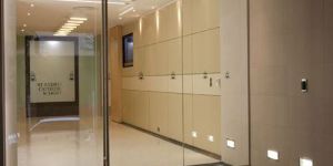 Frameless Glass Door