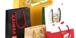 Loop Handle Paper Bag