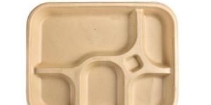 5 Compartment Meal Tray