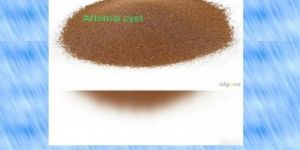 Artemia Cyst Brine Shrimp Eggs