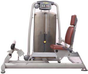 Seated Calf Machine