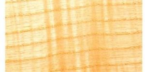 Ivory European Sycamore Wood