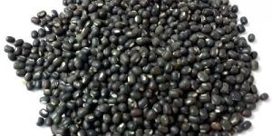 Whole Urad Dal