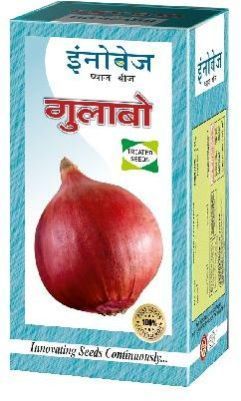 Onion Gulabo