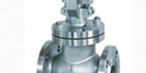 Globe Valve