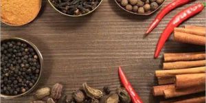 Ayurvedic PCD Pharma Franchise