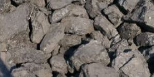 Bitumen Coal