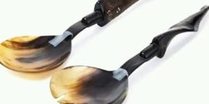 Horn Spoon