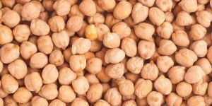Organic Chickpeas