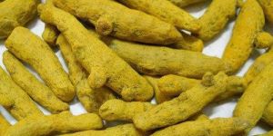 Organic Turmeric Finger