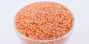 Red Lentils
