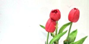 Hayosha Bonsai Artificial Plant