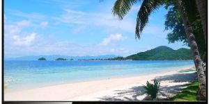 43 Inch Full HD LED Monitor