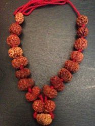 Rudraksha Siddh Mala