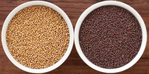 Mustard Seeds