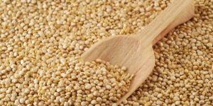 Quinoa Seeds