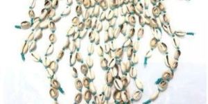 Women Shell Necklace