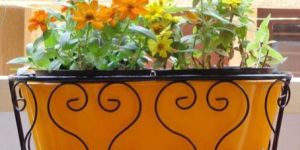 Window Box Planter