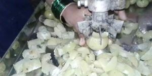 Amla Cutting Machine