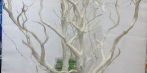 Decorative Artificial Plant