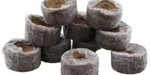Cocopeat Seed Plugs