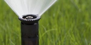 Lawn Sprinkler