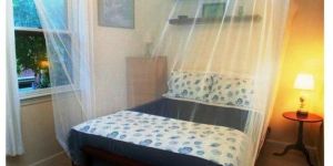 Medicated Mosquito Bed Net