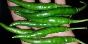 Green Chili