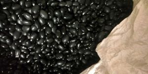 Black Beans